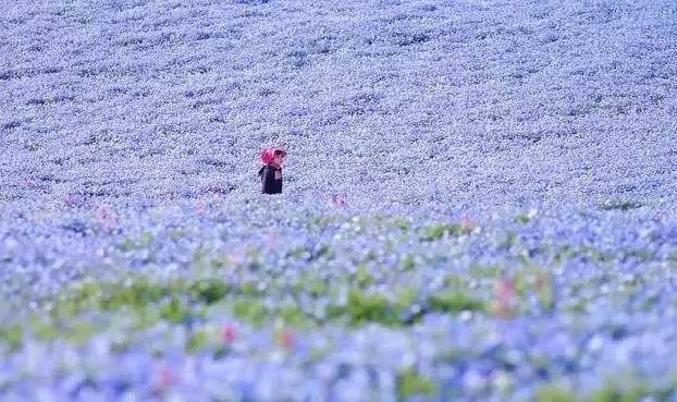 去日本必去的10个秘境,来日本东京玩必去的几个地方