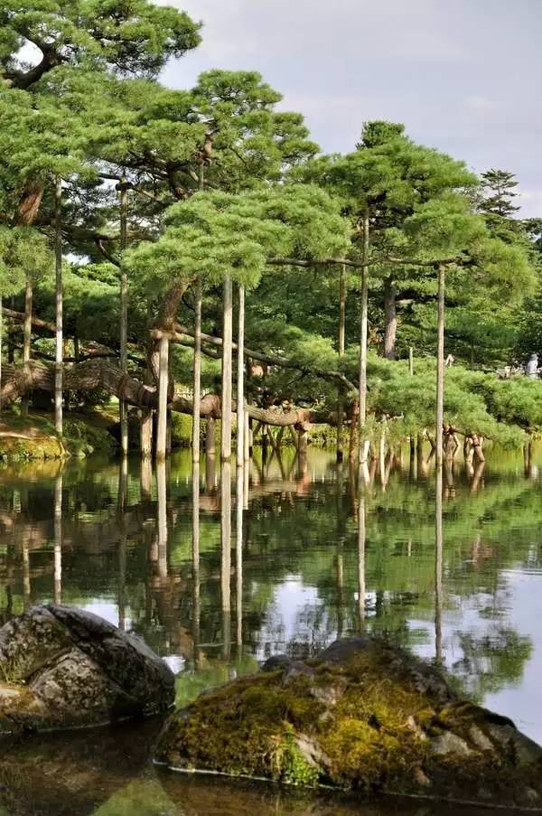 去日本必去的10个秘境,来日本东京玩必去的几个地方