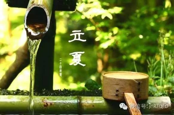 立夏糯米饭,立夏乌米饭香