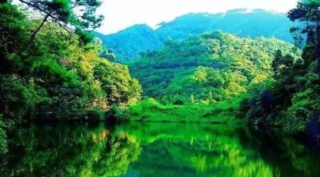 我叫佛山，我家“五美”私房照首次曝光，看看你最中意哪一款？