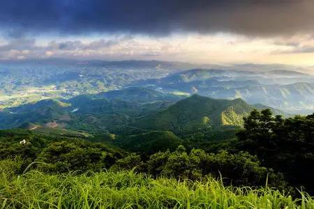 我叫佛山，我家“五美”私房照首次曝光，看看你最中意哪一款？