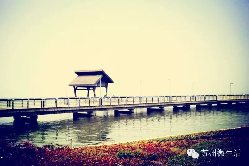 吐血整理干货满满建议收藏,苏州七天省钱攻略