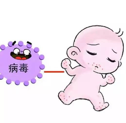 崔玉涛常见病,手足口病怎么治疗崔玉涛