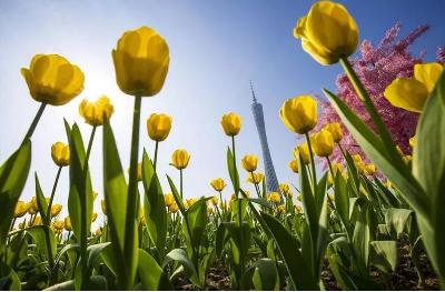 广州花街海心沙,广州海心沙时尚花市