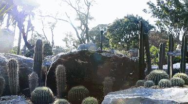 美翻了！春节不用出东莞，这个植物宝库带你游世界！现在就可去体验