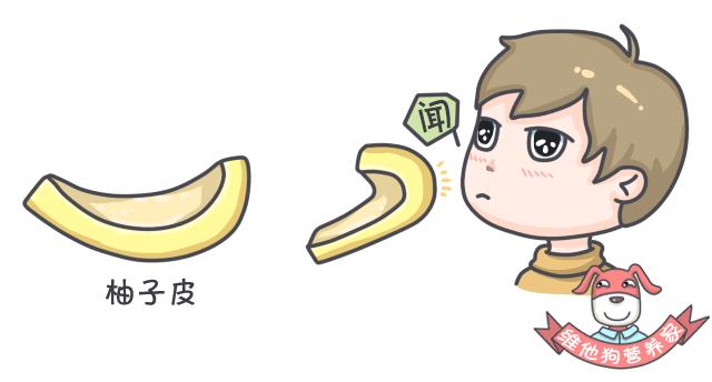 春节晕车怎么解决呢,春运晕车这5个方法是晕车克星