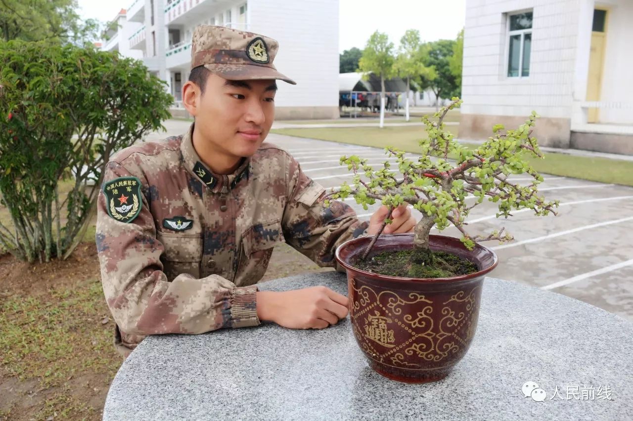 「策划」别天真了,士官哪有那么好当!