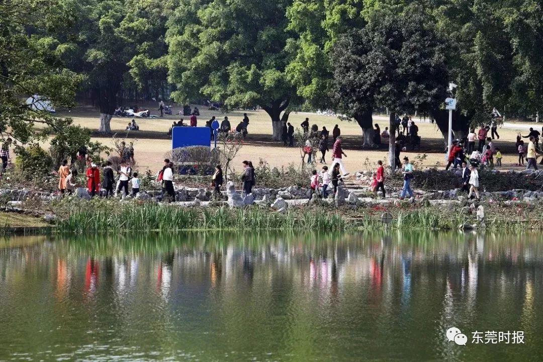 美翻了！春节不用出东莞，这个植物宝库带你游世界！现在就可去体验