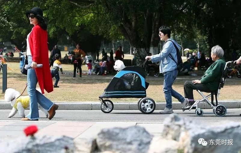 美翻了！春节不用出东莞，这个植物宝库带你游世界！现在就可去体验