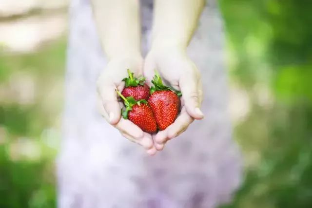 从老家带过来好吃的东西,从老家带东西怎样最划算