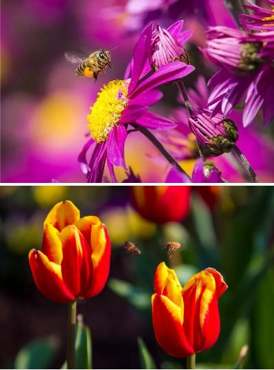 广州花街海心沙,广州海心沙时尚花市