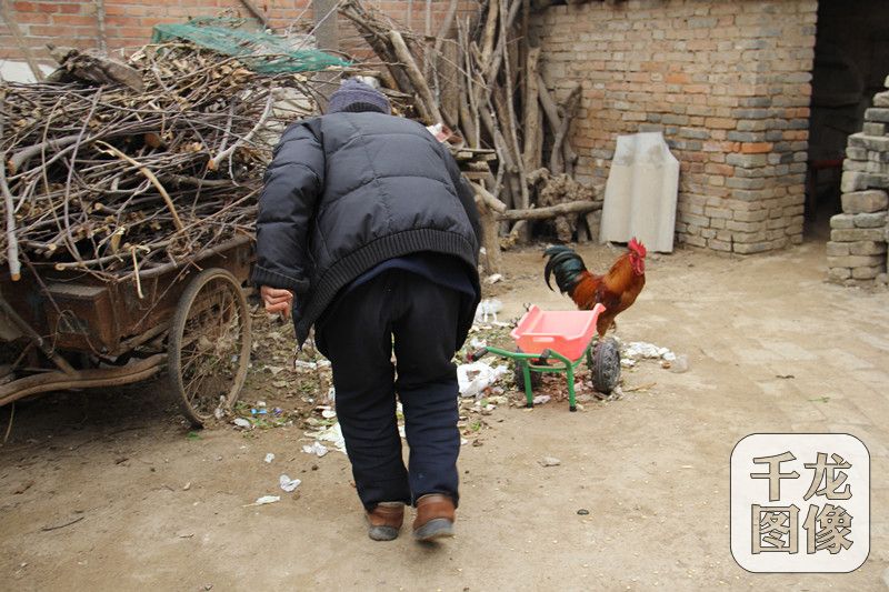 年见·2018|驼背爷爷的新年之“变”