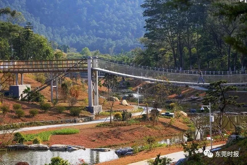 美翻了！春节不用出东莞，这个植物宝库带你游世界！现在就可去体验