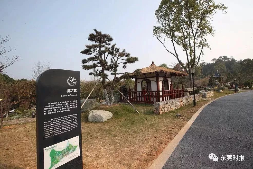 美翻了！春节不用出东莞，这个植物宝库带你游世界！现在就可去体验