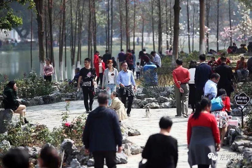 美翻了！春节不用出东莞，这个植物宝库带你游世界！现在就可去体验