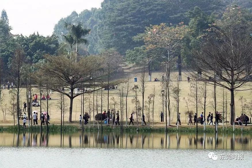 美翻了！春节不用出东莞，这个植物宝库带你游世界！现在就可去体验