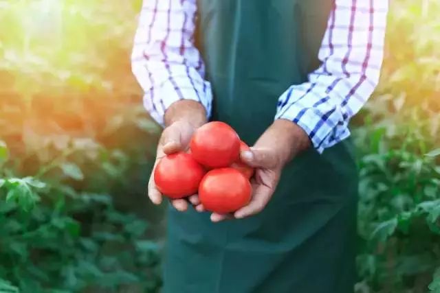 从老家带过来好吃的东西,从老家带东西怎样最划算