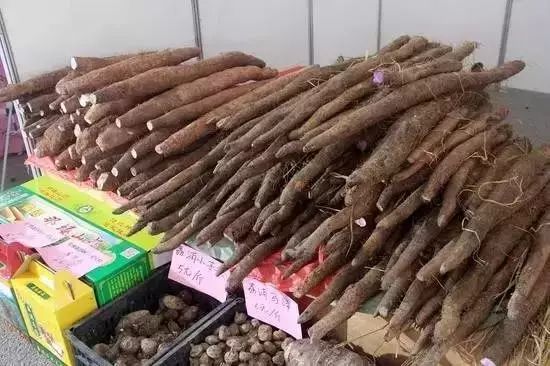 广西特产回家必买清单,广西南宁特产有哪些方便带回家