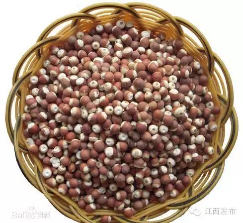 冰河开化狗熊撒欢,冰河解冻万物复苏狗熊撒欢原声