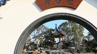 美翻了！春节不用出东莞，这个植物宝库带你游世界！现在就可去体验