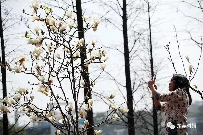 美翻了！春节不用出东莞，这个植物宝库带你游世界！现在就可去体验