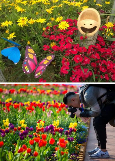 广州花街海心沙,广州海心沙时尚花市