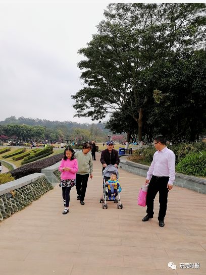 美翻了！春节不用出东莞，这个植物宝库带你游世界！现在就可去体验