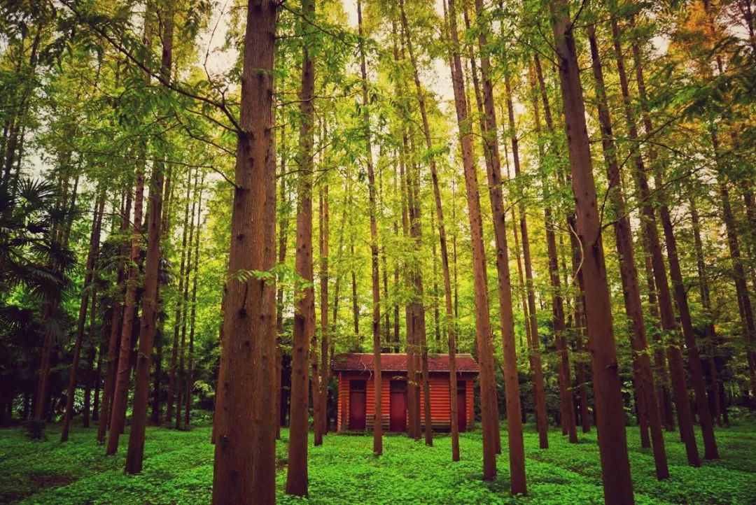 土著带你玩大连开发区,土著带你玩上海