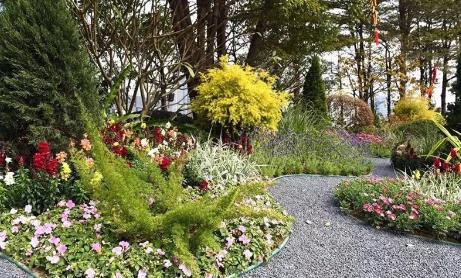 广州花街海心沙,广州海心沙时尚花市