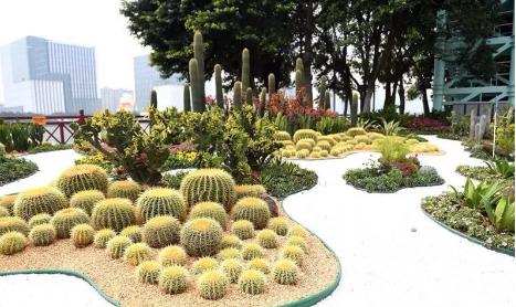 广州花街海心沙,广州海心沙时尚花市