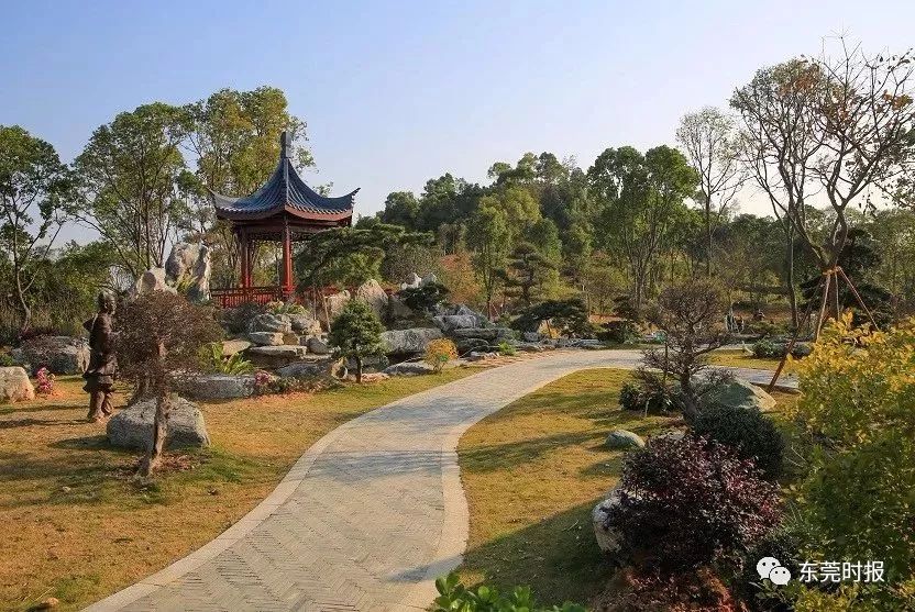 美翻了！春节不用出东莞，这个植物宝库带你游世界！现在就可去体验