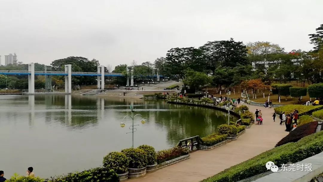 美翻了！春节不用出东莞，这个植物宝库带你游世界！现在就可去体验