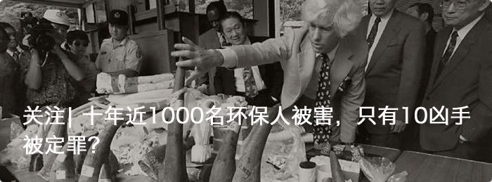 冬奥会看不懂的项目,北京冬奥会周边产品在哪买