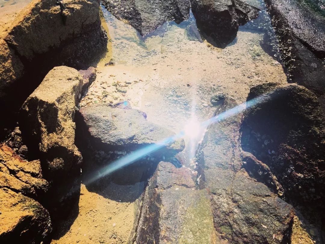 春节假期之旅,春节夏威夷游