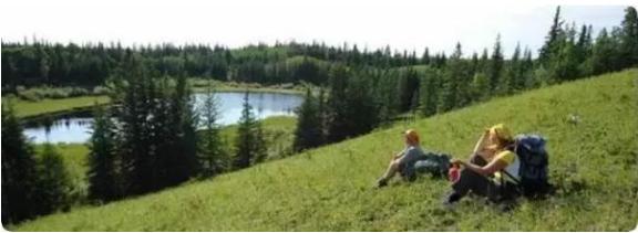 侨外加拿大移民：看来这么多人选择加拿大萨省是有原因的！