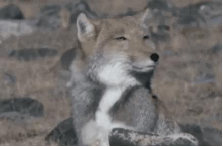 评测24款保鲜膜11款“有毒”，快翻翻你家的中招没？