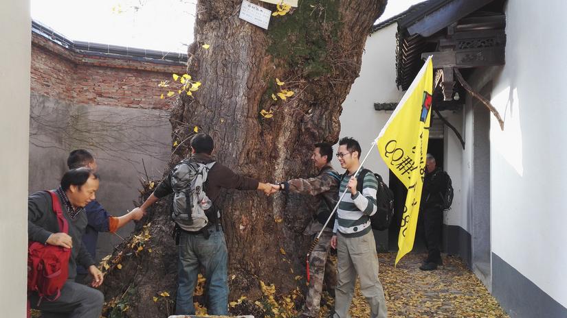 东山哪里的银杏最好看,阳山东山银杏打卡点