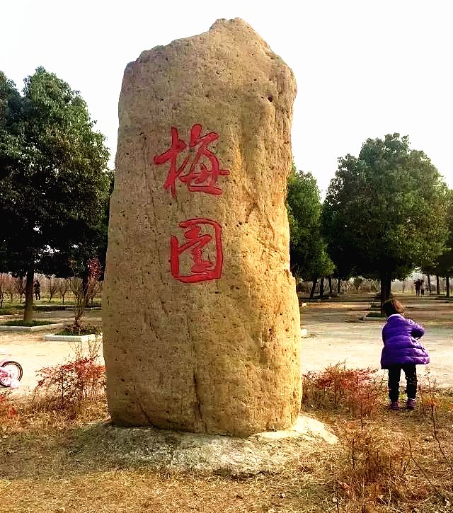 赏花蚌埠,蚌埠春季赏花