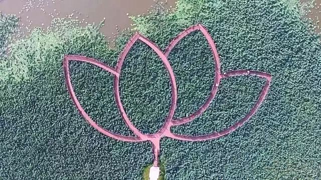 赏花蚌埠,蚌埠春季赏花