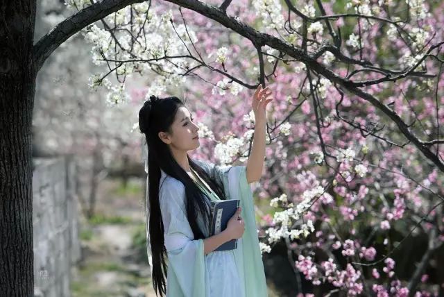 赏花蚌埠,蚌埠春季赏花