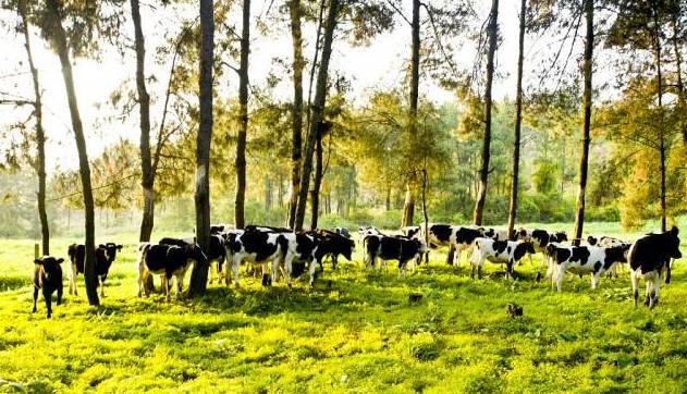 黔南旅游攻略自由行攻略,黔南5条精品旅游线路