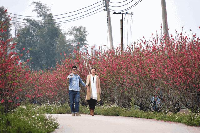 还未脱单？元宵前去东湾村吧，邂逅浪漫！