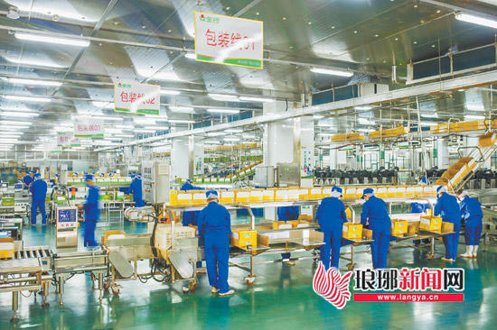 临沂金锣集团：坚持强化科技创新助推企业发展