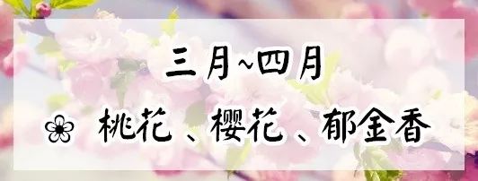 赏花蚌埠,蚌埠春季赏花