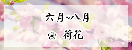 赏花蚌埠,蚌埠春季赏花