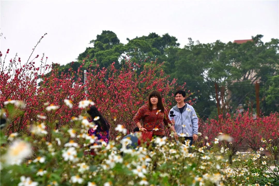 还未脱单？元宵前去东湾村吧，邂逅浪漫！
