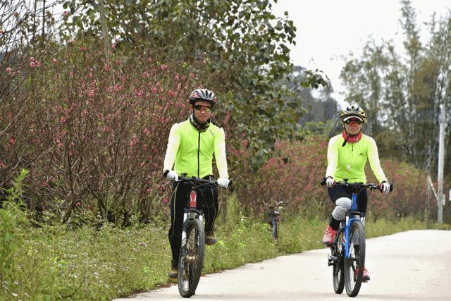 还未脱单?元宵前去东湾村吧,邂逅浪漫!