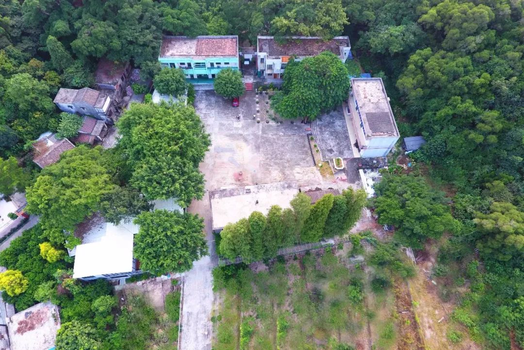 还未脱单?元宵前去东湾村吧,邂逅浪漫!