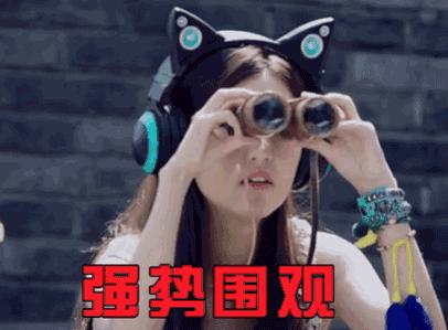 音乐节魔都音乐节,魔都音乐节