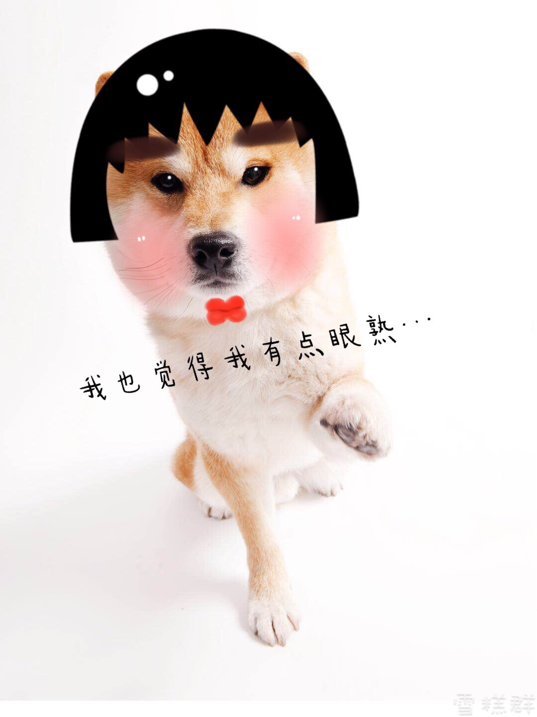 180228郑爽雪糕群2月频繁冒泡有趣还是你有趣